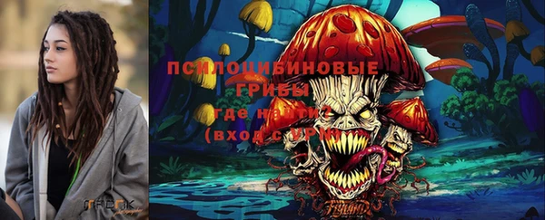 герыч Алексин