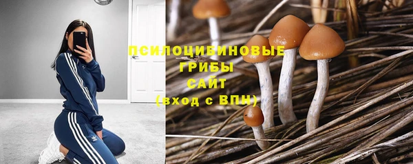 скорость Алзамай