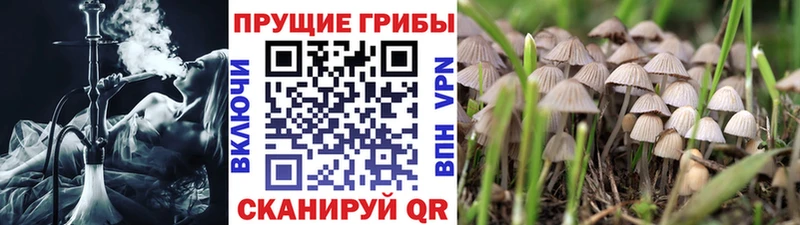 Галлюциногенные грибы Cubensis  Мураши 